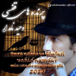 Vahid Namdar – Parandehaye Ghafasi
